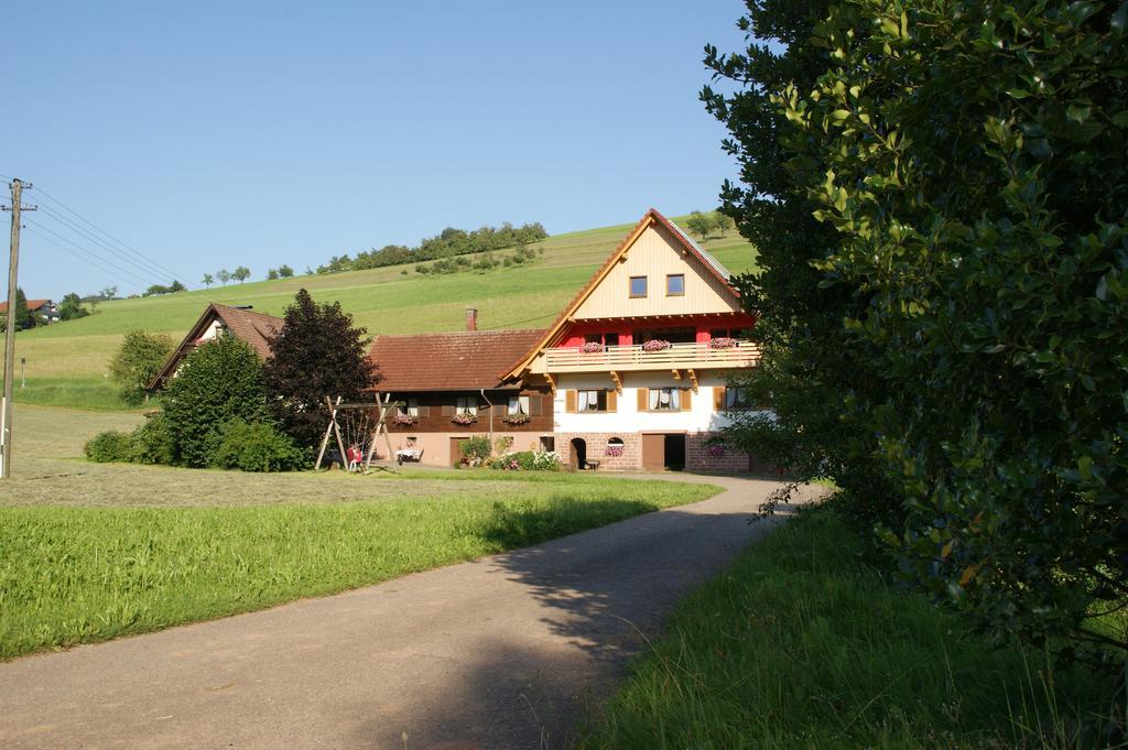 Kornbauernhof Apartment Oberharmersbach Exterior foto