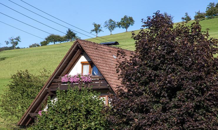 Kornbauernhof Apartment Oberharmersbach Exterior foto